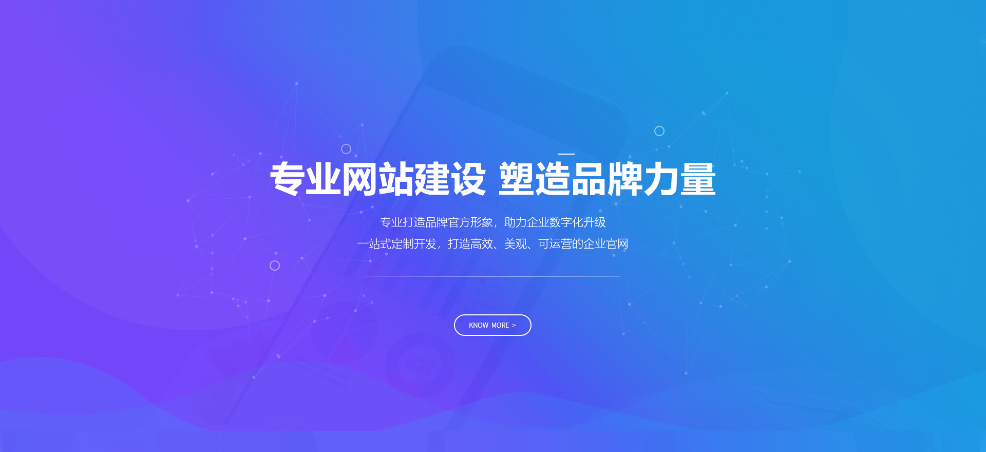 琼中建站-专业网站建设 塑造品牌力量