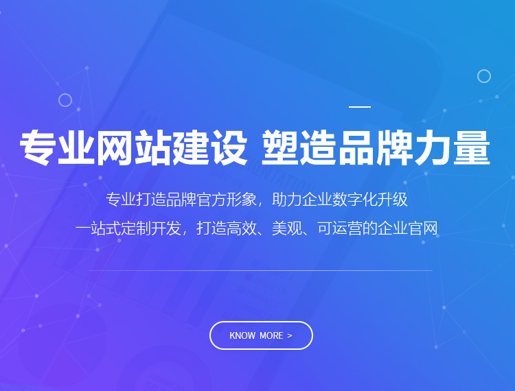 琼中建站-专业网站建设 塑造品牌力量